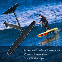 Petite aile en carbone Wingfoil Hydrofoil Surf Foil Board Windsurf Kitesurf Foil Wing