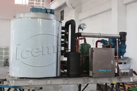 Machine à glace en flocons de neige conteneurisée de 50 tonnes/jour pour la Chine, pour le refroidissement, avec prix d'usine