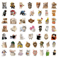 100 autocollants/sac, autocollants amusants pour chats, autocollants personnalisés imperméables, autocollants kawaii pour journaux, autocollants pour ordinateur portable, autocollants pour voiture, autocollants mignons d'animaux, autocollants d'expressions de chatons