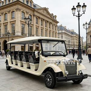 Carro Eléctrico Clásico Vintage de Gran Espacio para 10 Pasajeros, Vehículo de Transporte para Grupos en Islas o Campus - Product Image 6