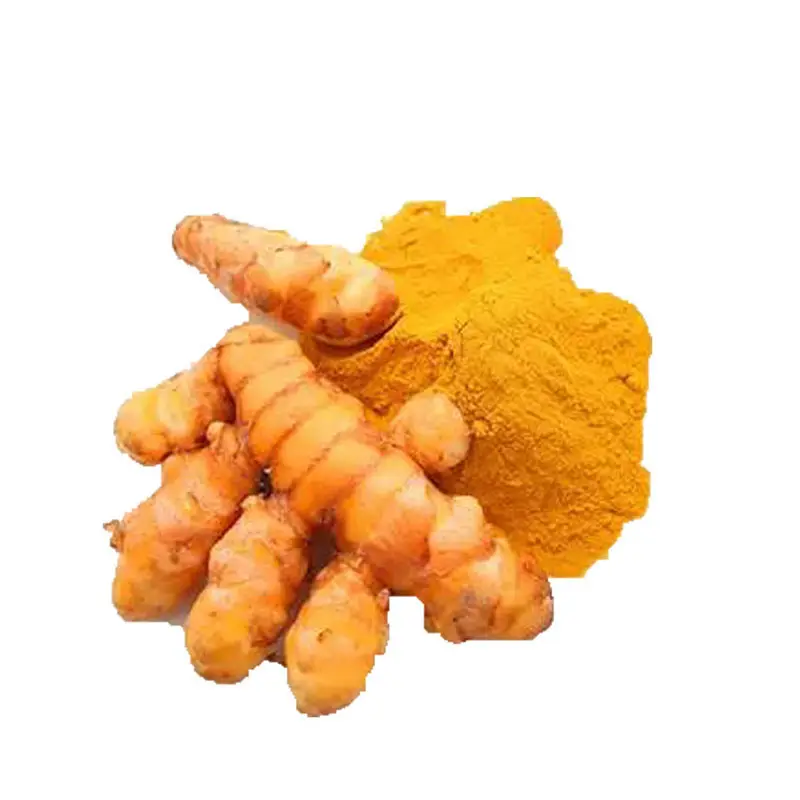 सर्वश्रेष्ठ गुणवत्ता के पूरक Curcumin पाउडर हल्दी निकालने पाउडर कार्बनिक 95% हल्दी पाउडर