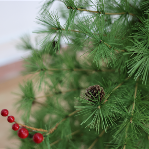 <span class=keywords><strong>Sapin</strong></span> de Noël artificiel en épicéa de <span class=keywords><strong>120</strong></span> <span class=keywords><strong>cm</strong></span>, pré-décoré avec baies rouges, cônes de pin et aiguilles de pin réalistes, base de table - Product Image 4