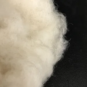 Waste Wool Carded Sheep Wool Waste Scoured Wool Noils For Carpet Yarn