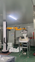 Robot de Desempaquetado de Bolsas de PP/PE de Alta Velocidad |   Brazo Robótico de Alimentación Automática de Materiales |   100-120 Bolsas/H, Totalmente Personalizable