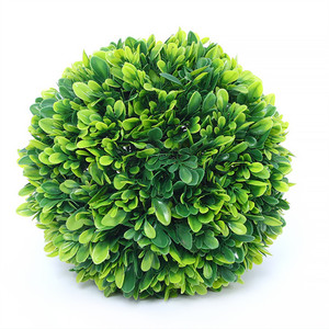 Boule de mousse vivante préservée vert mer irlandais, plante artificielle naturelle pour la décoration intérieure, <span class=keywords><strong>terrarium</strong></span>, art mural, fabriquée en plastique durable - Product Image 4