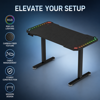 Bureau de travail ergonomique AOR, bureau de jeu intelligent à réglage électrique avec mémoire, panneau de protection environnementale, éclairage RGB Armor