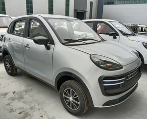 Vehículo Eléctrico Compacto de Nueva Energía con Arranque de un Toque y Dirección Asistida, Personalizable, 3500W, Económico, para Personas Mayores - Product Image 5