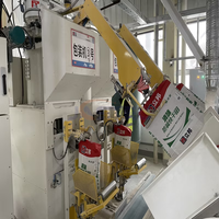 Machine d'emballage et de remplissage automatique de poudre de ciment de sac de valve intérieure de tarière de vis