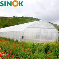 Serre tunnel monocouche Sinok 10*30 pour tomates, ensemble complet, structure galvanisée à chaud haute résistance pour la culture de tomates