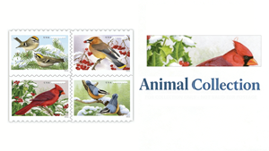 Album de <span class=keywords><strong>timbres</strong></span>-<span class=keywords><strong>poste</strong></span> et d'étiquettes pour envoi postal, avec motifs supplémentaires de l'année 2016 : Oiseaux de <span class=keywords><strong>la</strong></span> forêt dans <span class=keywords><strong>la</strong></span> neige, et thèmes de <span class=keywords><strong>la</strong></span> collection, ainsi que des <span class=keywords><strong>timbres</strong></span> permanents et des étiquettes <span class=keywords><strong>en</strong></span> papier pour le bureau - Product Image 6