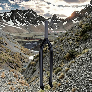 Fourche de vélo rigide BEERIDE COMPONENTS PRIVATE LIMITED 29 pouces en acier Hi-ten 1020, pour frein à disque, avec tige de direction sans filetage solide - Product Image 3