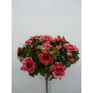 AZALEA BUSH X7 BT - Product Image 1