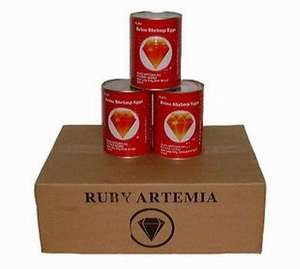 Cystes d'artémias décapsulés, œufs de crevettes de mer sans coquille, qualité supérieure, riches en protéines, absorption rapide, compléments alimentaires pour la santé des animaux - Product Image 4