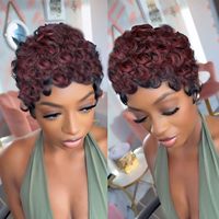 Perruque Courte Brésilienne en Cheveux Humains Vierges, Frontale Complète 13x4, Brun Foncé, Sans Colle, Dégradée, pour Femme, Vente en Gros, Fournisseur d'Usine