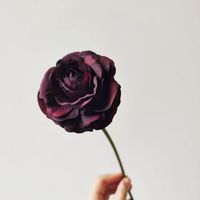 Hochwertige Minimalistische Blume mit Echtem Touch, 33cm Künstliche Latex-Rotblume für Hochzeit und Heimdekoration