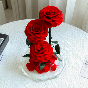 Cúpula de Cristal con 3 Rosas Preservadas Serie Grand Prince, Decoración de Boda de Lujo, Regalo de San Valentín, Personalizable al por Mayor - Product Image 5
