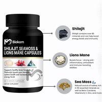OEM Vente en gros Capsules d'extrait de Shilajit naturel Capsules de Shilajit de l'Himalaya avec crinière de lions et booster du système immunitaire de mousse de mer
