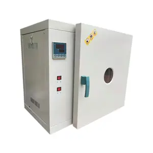 Dried Oven Machine 101A-2 101-3 Drying Oven Dryer for Constant-Temperature Industrial