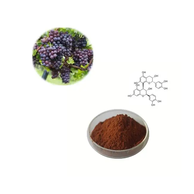 Antioxdant water soluble organic grape seed extract opc 95%