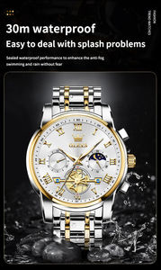 심천 시계 공장 OEM ODM 브랜드 시계 스테인레스 스틸 럭셔리 남성 시계 - Product Image 6