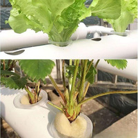 Balcon Machine de plantation de légumes Système hydroponique multi-niveaux mural Trou de drainage Culture sans sol Pot de fleur