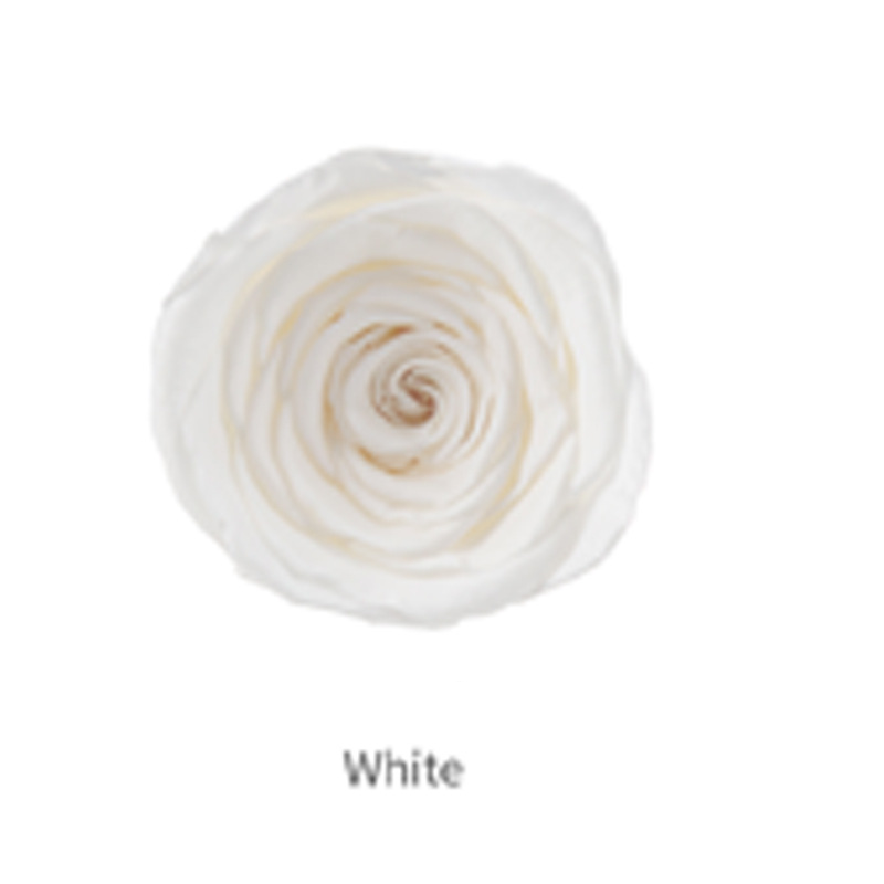 ดอกไม้สีขาวเกรด B 8