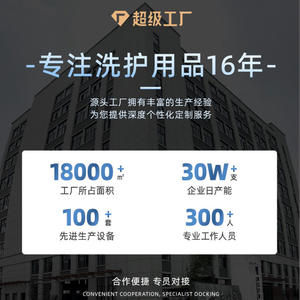 Cepillo de Dientes Eléctrico Westone Recargable, Resistente al Agua IPX7, Carga Tipo C, Juego Familiar para Adultos, Cuerpo de Plástico, 15 Días de Duración de la Batería - Product Image 2