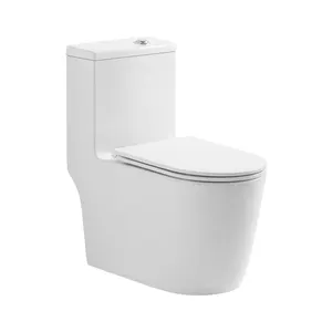 ऑरेंजफर्न वाटरप्रूफ डिफॉर्मेशन बाथरूम सफेद रंग सेनेटरी वेयर टू पीस डब्ल्यूसी टॉयलेट सेट