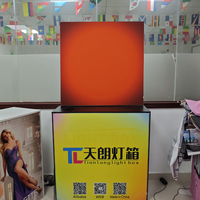Boîte à lumière LED carrée Tianlang Sunset Paintings avec télécommande via application, cadre en aluminium, détection tactile, décoration d'anniversaire et d'intérieur