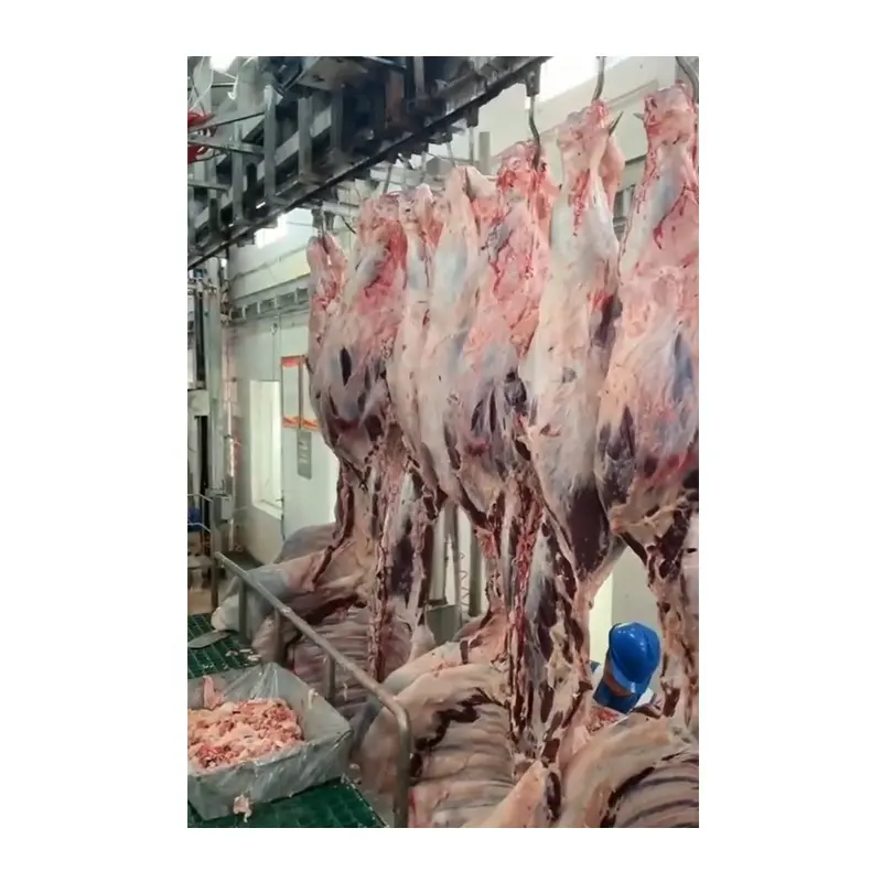 Halal Beef Mutton Abattoir Slaughter Line Equipment of Cow Slaughter Machine