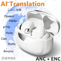 Écouteurs intra-auriculaires P-M1Pro ANC+ENC à réduction de bruit avec traduction IA, offrant une interprétation simultanée et une traduction photo