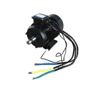60V 4.0KW 1500RPM Brushless DC Motor For Electric Sightseeing Boats BLDC Motor
