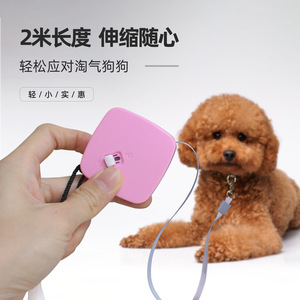 Mini laisse de traction pour animaux de compagnie, laisse rétractable de 3m pour lapin, petits animaux - Product Image 3