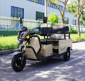 Tricycle électrique silencieux pour événements professionnels, <span class=keywords><strong>transport</strong></span>, livraison de courrier et de <span class=keywords><strong>colis</strong></span>, accessoires - Product Image 4