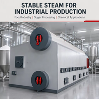 Chaudière de gazéification de biomasse à combustible de balles de riz et de paille pour usine de transformation alimentaire – Approvisionnement direct fabricant