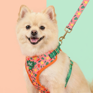 Ensemble laisse et harnais pour chien MIDEPET, luxe et mode, polyester haute qualité, alliage, pour chiens <span class=keywords><strong>de</strong></span> petite, moyenne et <span class=keywords><strong>grande</strong></span> taille, cadeau pour la Saint-Valentin. - Product Image 1