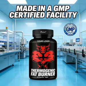 קפסולות שורפות שומן תרמוגניות של יצרן מקורי, פעולה מהירה, ירידה במשקל, תמיכה באנרגיה ובתיאבון - תוסף תה ירוק לגברים ונשים - Product Image 2