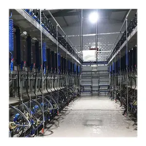 Different specifications and configurations Electronic metrology Milking Parlors Automatic Cow Machine System