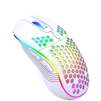 Mouse Gaming PC Nirkabel Profesional RGB Isi Ulang USB/Type-C Sensor Optik 2400DPI untuk Tangan Kanan 6 Tombol Ergonomis