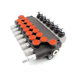คู่มือการใช้งาน P80-G34-7OT กำลังมองหาวาล์วไฮดรอลิก OEM/ODM ซีรีส์ P80-G34-7OT พร้อมปรับแต่งได้ - Product Image 1