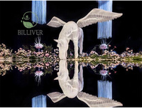 Dalles de sol argentées de haute qualité, tapis miroir épais de 6 pieds pour allée de mariage, décoration de scène, chemin de couloir miroir