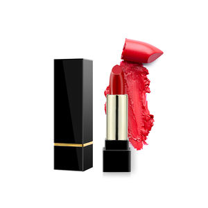 Private Label Personnalisé 17 Couleur Tube Carré Maquillage Rouge À Lèvres Mat Luxe Féminin Rouge - Product Image 1