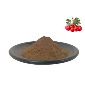 निर्माता कोमल नागफनी निकालने पाउडर पत्ती नागफनी बेरी निकालने - Product Image 2