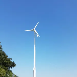 500w autres énergies alternatives éolienne 0.5kw axe horizontal générateur de vent hors réseau