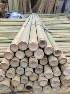 Varas de Bambú Chino Tonkin de Diámetro Pequeño, Anticorrosivas, para Uso Agrícola, Viveros, Jardines, Cercas, Astas de Banderas - Product Image 6