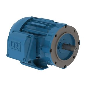 มอเตอร์ไฟฟ้า Weg 2 แรงม้า 1800 รอบต่อนาที 145tc Nema Frame Tefc 3 เฟส ฐานเหล็กหล่อ - Product Image 1