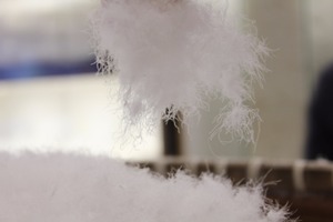 Prix de gros moins cher <span class=keywords><strong>acheter</strong></span> RDS Standard couette remplissage 90% plume <span class=keywords><strong>d</strong></span>'<span class=keywords><strong>oie</strong></span> blanche - Product Image 3
