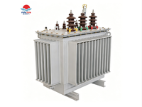 Transformateur immergé dans l'huile triphasé 10 kV 50 kVA à enroulement en cuivre S22, refroidissement ONAN, alimentation directe usine, pour réseau électrique