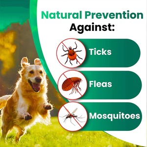 OEM prevenzione pulci <span class=keywords><strong>e</strong></span> zecche naturale Pet integratore mastica <span class=keywords><strong>cani</strong></span> lievito di birra vitamine B12 B6 sollievo della pelle allergia salute immunitaria - Product Image 3