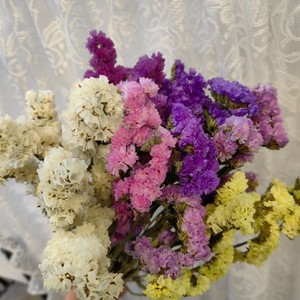 ดอกไม้แห้งไมโอโซติส ซิลวาติกา สีขาว ชมพู ม่วง ขายส่ง สำหรับงานแต่งงาน ตกแต่งบ้าน-ดอกไม้แห้งธรรมชาติ - Product Image 3